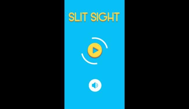 Slit Sight